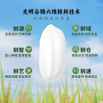 瀛豊五斗崇明绿稻香10斤 真空包装 产自崇明岛 国企粮源 自有农场 /粮油调味 /米 /其他大米 商品图2