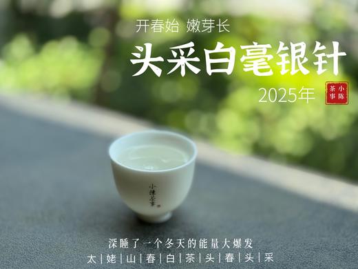 【2025春茶来了】2025头采银针《如琢》，上天精心打磨出的绝世佳品，毫香与花香尽显风流（一斤收藏装） 商品图11