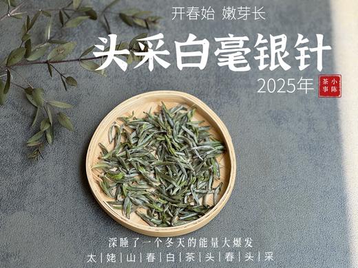 【2025春茶来了】2025头采银针《如琢》，上天精心打磨出的绝世佳品，毫香与花香尽显风流 商品图2