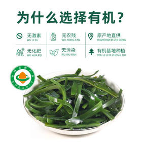 派绅有机海带丝40g高泡发非盐渍海产干货凉拌煲汤火锅关东煮食材  /粮油调味 /南北干货 /鱼虾贝藻类干货