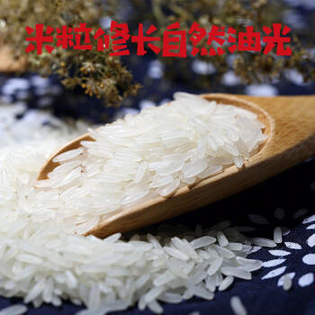 谷尊尚选谷尊香油粘米20斤长粒香大米南方籼米岭南油粘米煲仔饭米新米 /粮油调味 /米 /油粘米 商品图6