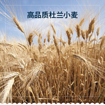 百味来Barilla博洛尼亚肉酱弯管通心粉意面500g+番茄罗勒酱速食5人份 /粮油调味 /意大利面 /传统意面 商品图5