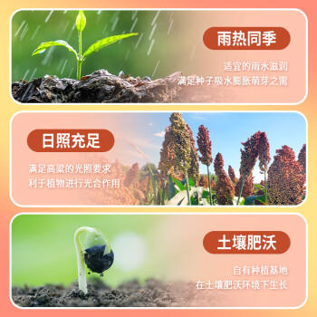 沐谷 东北大碴子粥5斤 芸豆玉米碴 东北特产大碴粥拧嘴袋装非真空 /粮油调味 /杂粮 /其他杂粮 商品图1