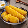 穗康糯玉米新鲜黄糯白糯10支组合4.2斤真空锁鲜整箱甜糯包邮 /粮油调味 /杂粮 /谷米类 商品缩略图5