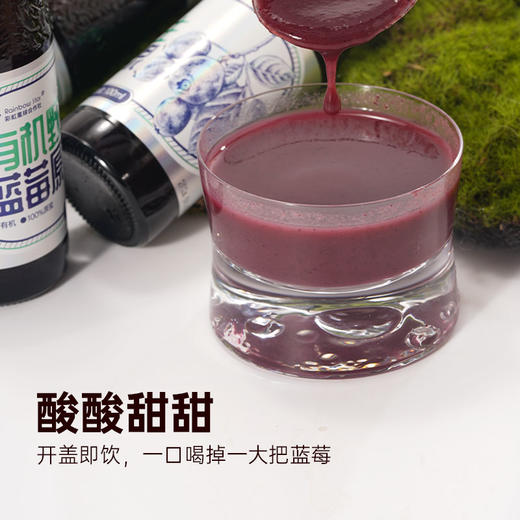 彩虹星球|有机蓝莓原浆 商品图1