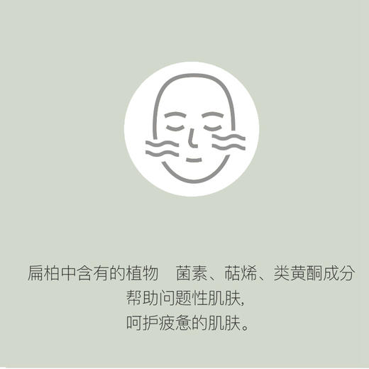 碧波曼 扁柏叶纯露 150ml 商品图3