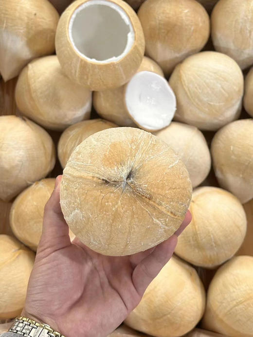 ✈️漂洋过海的椰皇，每一口都是甜甜甜😋
初入口中顺滑清淡，之后便回味甘甜🍭
浓郁的椰香充满口腔😋，咕噜咕噜嘬一大口，那叫一个满足呀~🥰 商品图3