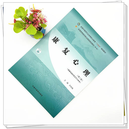 康复心理（第二版）彭咏梅 主编 中国中医药出版社 全国中医药行业高等职业教育十四五规划教材 商品图1