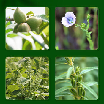 长白工坊 四合一热炒油 亚麻/芝麻/紫苏/核桃 炒菜烹煮食用油255ml  /粮油调味 /食用油 /特色食用油 商品图0