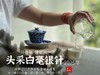 【2025春茶来了】2025头采银针《如琢》，上天精心打磨出的绝世佳品，毫香与花香尽显风流（一斤收藏装） 商品缩略图10