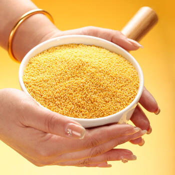 赤川 敖汉有机黄小米50g*21袋 金苗K1（内蒙古赤峰小米粥杂粮粥） /粮油调味 /杂粮 /谷米类 商品图3