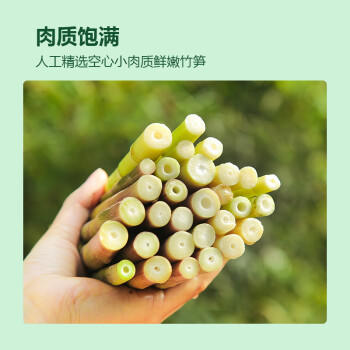 华田禾邦清水笋1斤*2袋装 小竹笋脆笋嫩笋尖 凉拌炒菜火锅食材 /粮油调味 /南北干货 /干菜类 商品图3