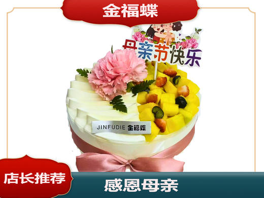 【母亲节】感恩母亲 商品图0