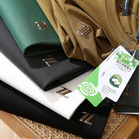 Z系意式奢华T恤！2025夏季新款男士天丝混纺凉感透气圆领休闲短袖T恤！