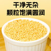 赤川有机大黄米3斤粽子米敖汉黄米杂粮米黍米黄黏米黄糯米粗粮 /粮油调味 /杂粮 /谷米类 商品缩略图0
