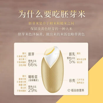 东北老农当季新米 胚芽米大米 5斤 粥米 2.5kg /粮油调味 /米 /胚芽米 商品图4