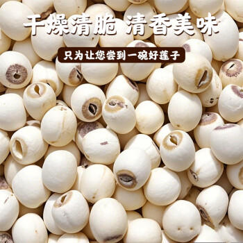 壁坳莲子带芯莲子300克新鲜湖南湘潭白莲子无硫有芯心百合干莲子炖汤 /粮油调味 /南北干货 /果茎食补干货 商品图4