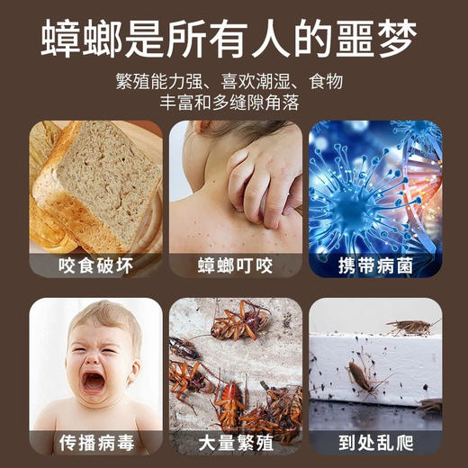 【安全有效】日本小黑屋 环保无毒无味灭蟑螂药一盒12枚 商品图2