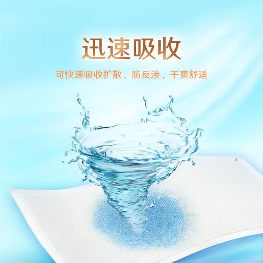 乐互宜安心柔爽成人护理垫10P 商品图3