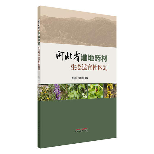 河北省道地药材生态适宜性区划 郑玉光 马东来 主编 中国中医药出版社 商品图4