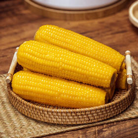 天勤粒粒净有机黄糯玉米8穗*220g（3.5斤）玉米棒低脂玉米真空包装早餐代餐 /粮油调味 /杂粮 /谷米类