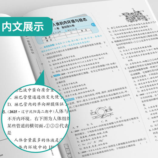 高中生物选择性必修(1) 稳态与调节 人教版 单元双测 商品图3