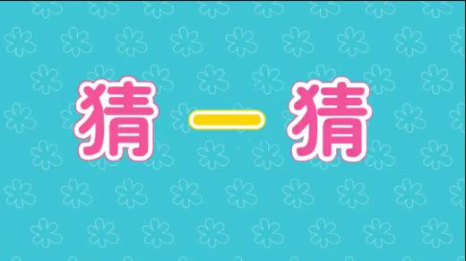 猜一猜（认识子和白） 商品图0