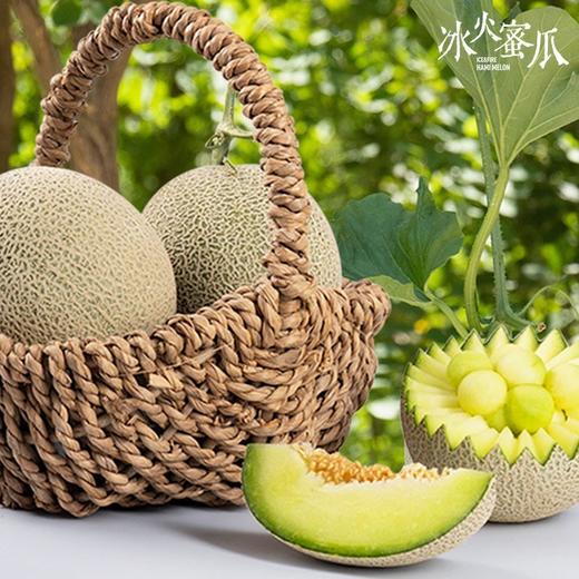 新疆哈密瓜 西州蜜  脆甜多汁 商品图8