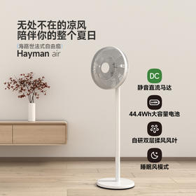 海路世电风扇  慈溪工厂直供 出口级品质