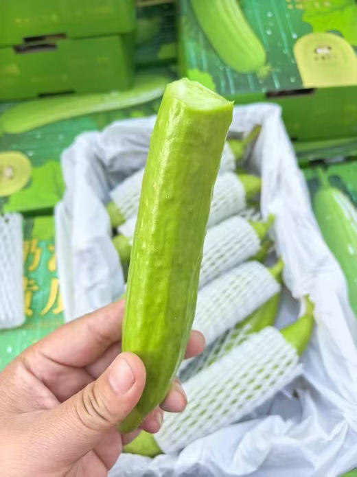 奶油小黄瓜，有机，净2.5斤/箱 商品图1