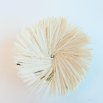 陈克明面条 儿童面高钙面350g  不添加食盐易消化 儿童营养挂面 /粮油调味 /挂面 /风味挂面 商品图1