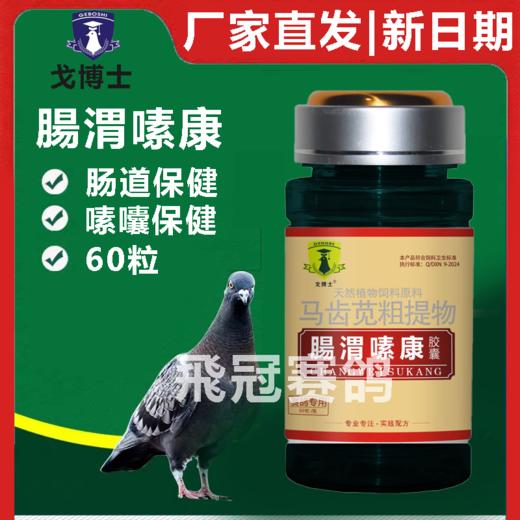 【肠胃嗉康】胶囊60粒，嗉囊积水胀气（戈博士） 商品图0