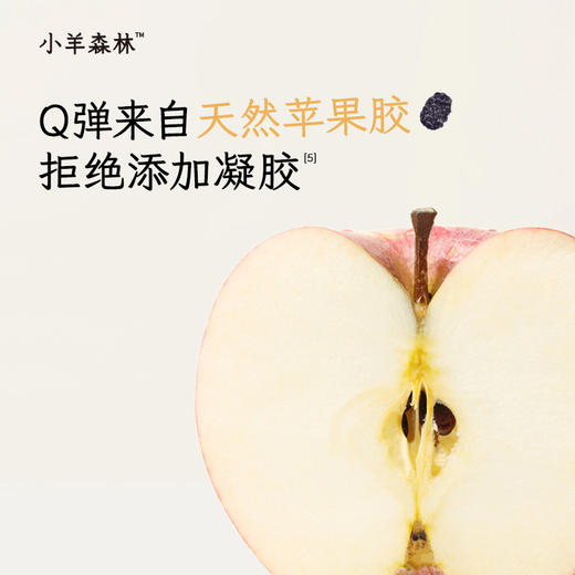 「桑葚果肉片」 真实水果打浆   健康小零食 零食 商品图2