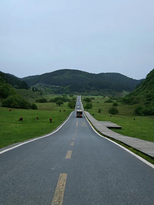 【武隆一日游】 💰128包含往返大巴车+景区门票+保险+行车助理~ 商品图3