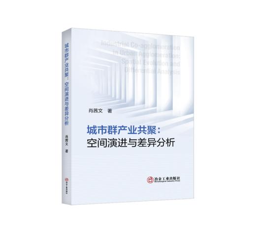城市群产业共聚：空间演进与差异分析 商品图0