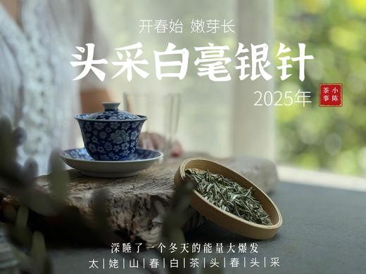 【2025春茶来了】2025头采银针《如琢》，上天精心打磨出的绝世佳品，毫香与花香尽显风流（一斤收藏装） 商品图5