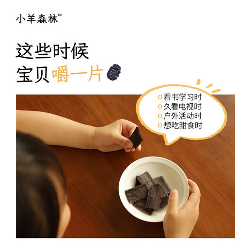 「桑葚果肉片」 真实水果打浆   健康小零食 零食 商品图3