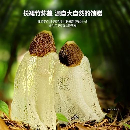 【悦惠精选】好巴食爆汁山珍豆腐700g 商品图3