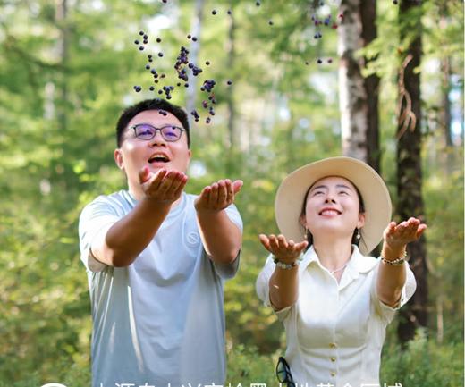 有机蓝莓原浆 商品图2