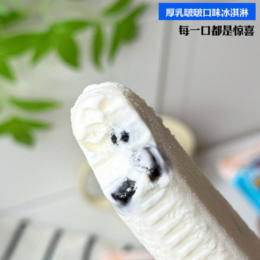 奶龙&井野联名经典雪糕冰淇淋 椰子芒果/生椰/菠萝/厚乳/西瓜/芝士/咖啡 多种口味组合套餐 商品图8