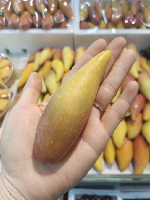 辣椒芒2斤 商品图1