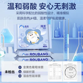柔邦纯水湿厕纸小包便携型10抽*10包 厕纸湿纸巾 独立包装 湿厕湿巾 /家庭清洁/纸品 /清洁纸品 /湿厕纸