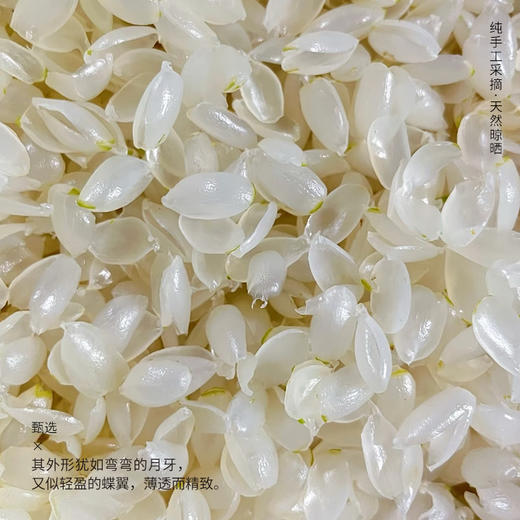 【云南】皂角米200g 商品图1