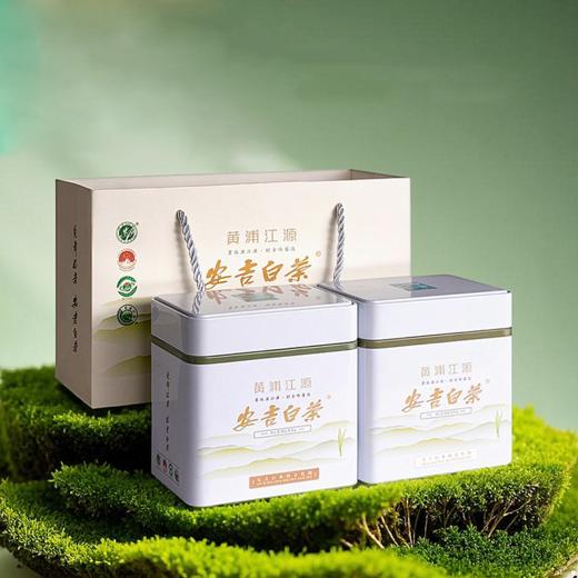 【年货礼盒】茶叶 安吉白茶 2025新茶 春茶 绿茶 茶叶罐装 茶饮 五虎 125g(买1送1同款，配手提袋) 商品图0