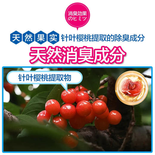 【瞬间除臭】小林制药 厨房垃圾桶 下水道 除臭味喷雾230ml空气清新剂分解异味消臭 商品图4