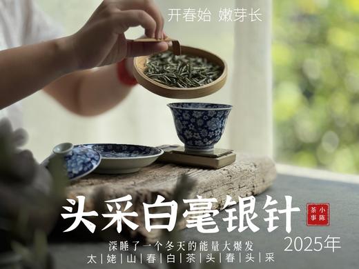 【2025春茶来了】2025头采银针《如琢》，上天精心打磨出的绝世佳品，毫香与花香尽显风流（一斤收藏装） 商品图6