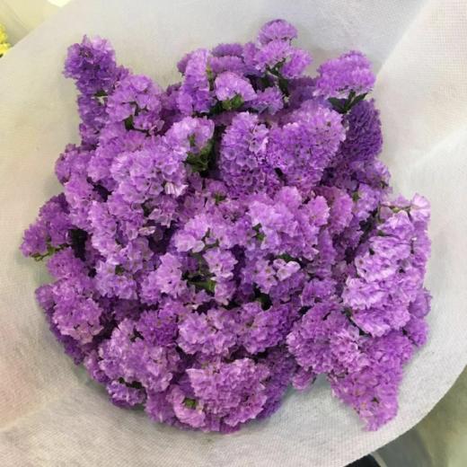 新鲜鲜花 勿忘我 鲜切花 粉色/紫色  1把（可备注送货时间） 商品图2