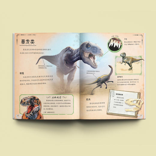 《惊人的骨头》（全3册）：《惊人的骨头：消失的恐龙》《惊人的骨头：动物世界》《惊人的骨头：头骨之谜》 商品图2