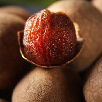 姚朵朵 大果桂圆干500g 1斤 双A桂圆干带壳肉厚龙眼干 桂圆枸杞红枣泡茶 /粮油调味 /南北干货 /果茎食补干货 商品图5