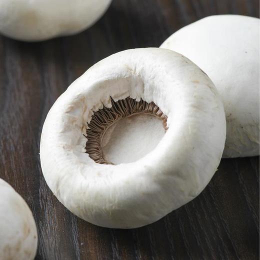 放心白蘑菇 约200g/盒 商品图3